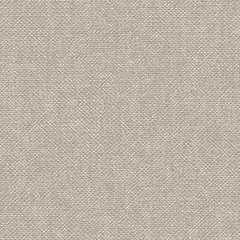 Andrea Rossi Arlequin 54303-6