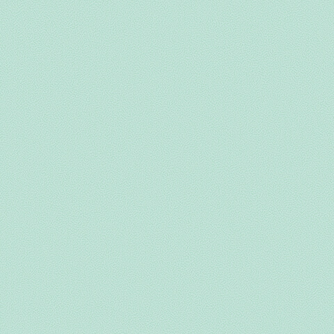 Andrea Rossi Gallinara 54310-8 Andrea Rossi Gallinara 54310-8