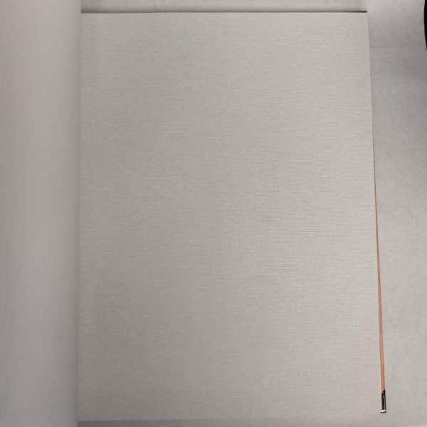 Andrea Rossi Berggi 54443-1