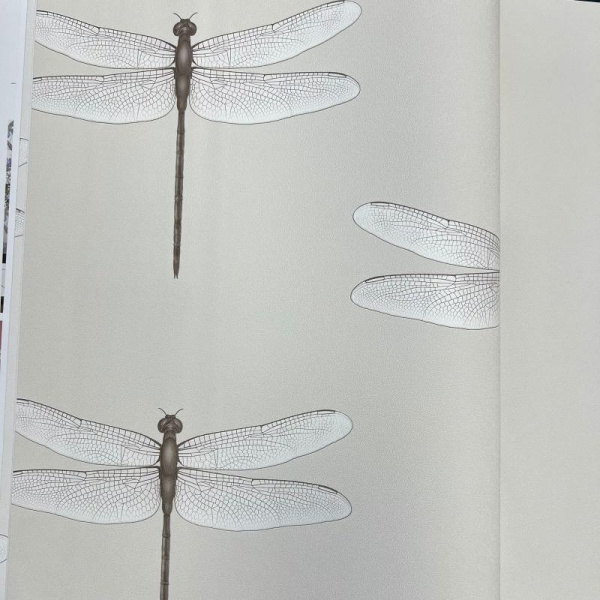 Andrea Rossi Cavolli 54426-2 Andrea Rossi Cavolli 54426-2