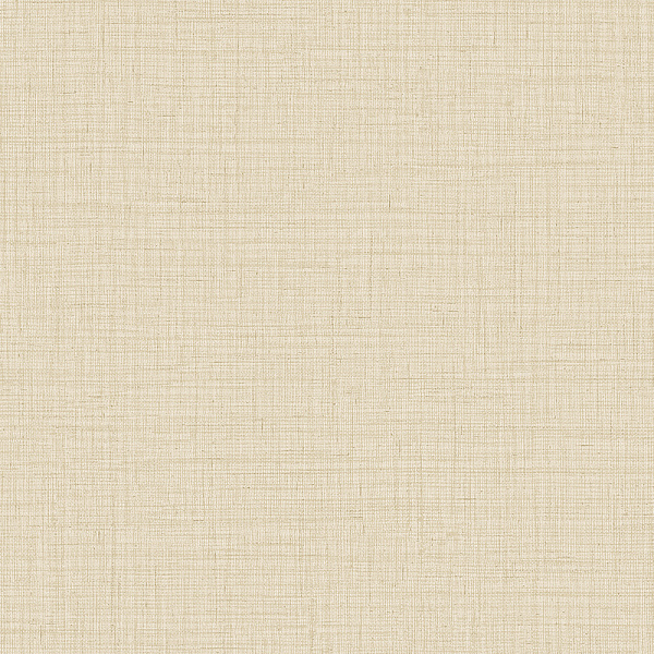 Alessandro Allori Giorgio RGI 1010-5