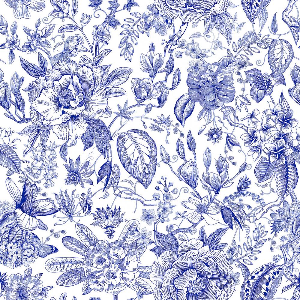 Marburg Gloockler Pompoos Provence 35616