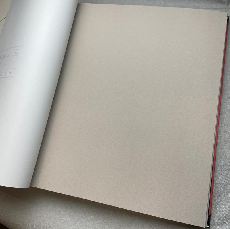 Andrea Rossi Spectrum Pro 54385-5 Andrea Rossi Spectrum Pro 54385-5