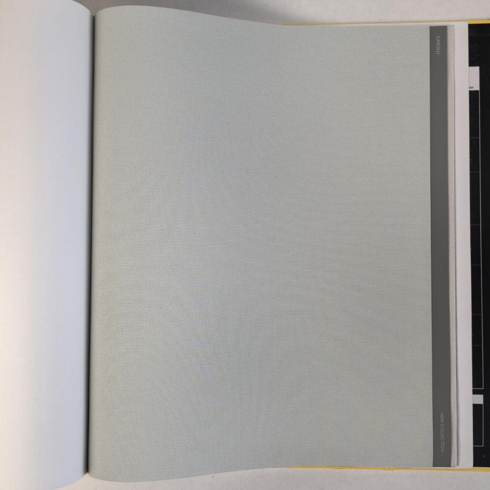 Andrea Rossi Cavolli 54416-9 Andrea Rossi Cavolli 54416-9