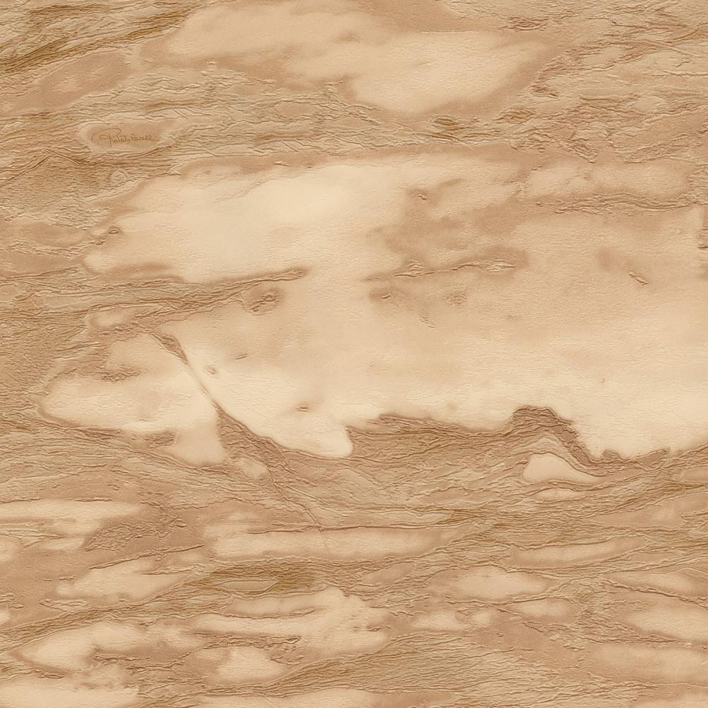 Emiliana Parati Roberto Cavalli RC 21029