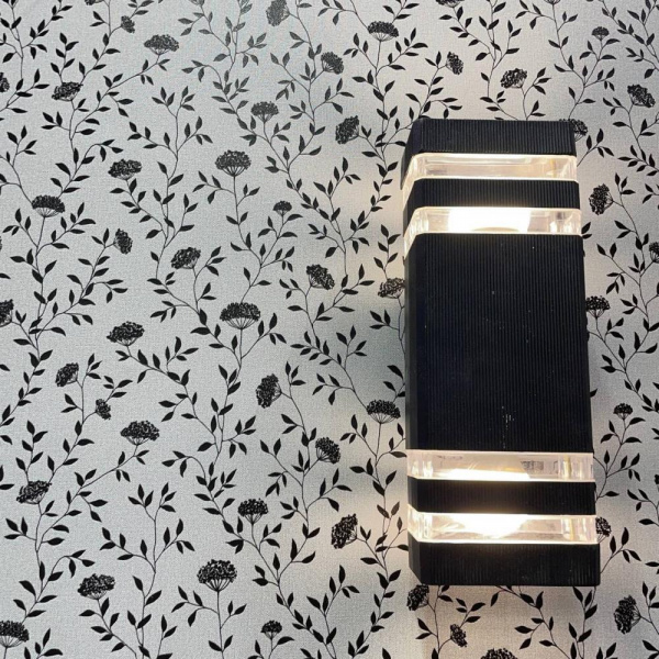 Andrea Rossi Spectrum Box 54456-12